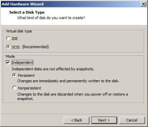 Select a Disk Type 